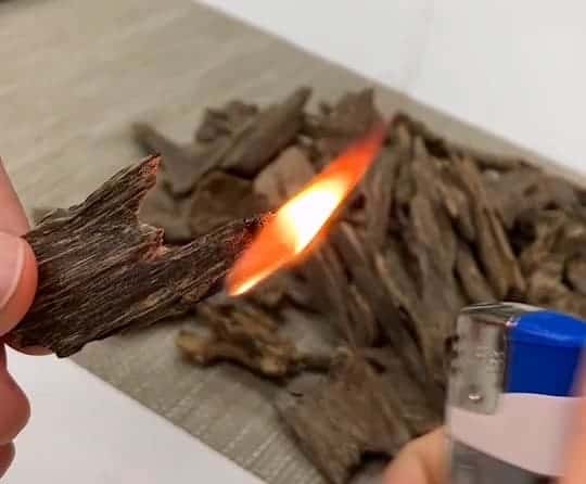沉香的香味來源