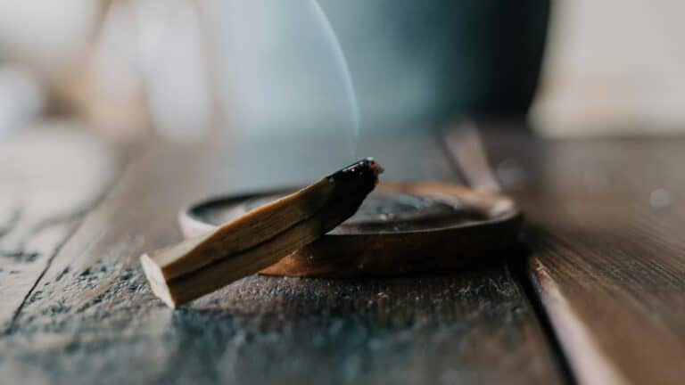 【聖木如何淨化？】解析聖木功效與真假判別技巧！