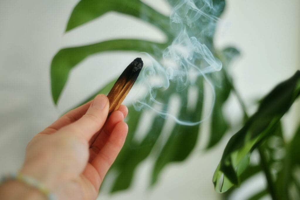 聖木功效 1:淨化空間