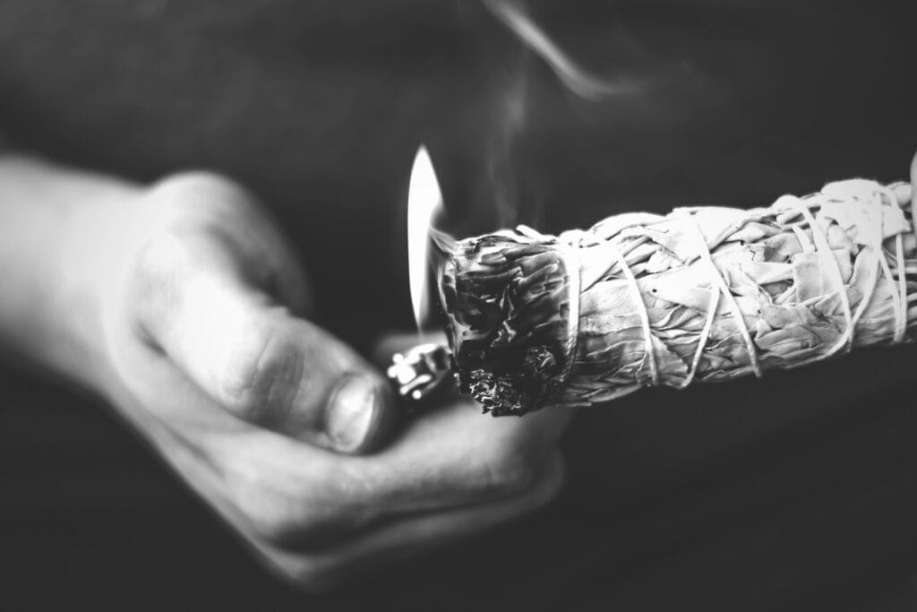 鼠尾草禁忌：五大族群須留意！