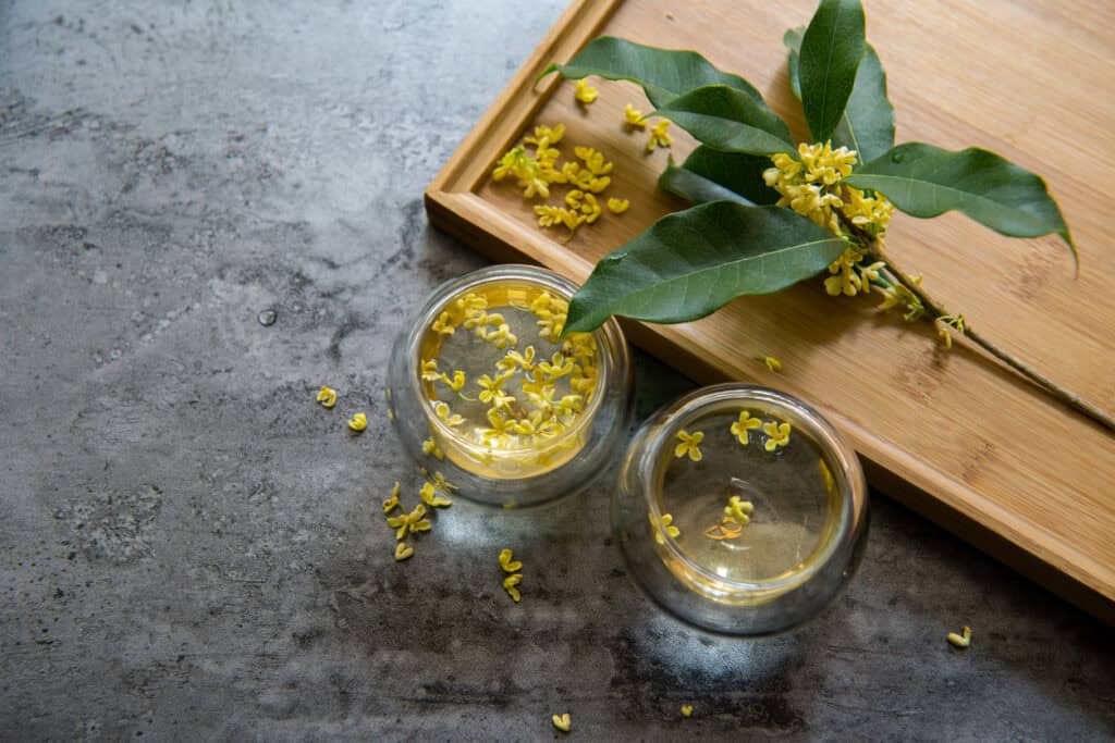 桂花茶功效與品飲常見問題
